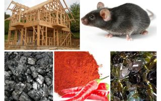 Karkasa mājas aizsardzība pret pelēm