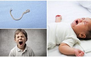 Simptomi un ascariasis ārstēšana bērniem
