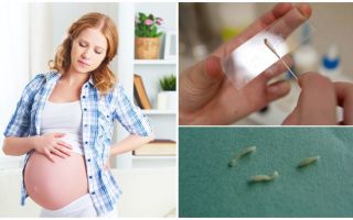 Kā ārstēt pinworms grūtniecēm