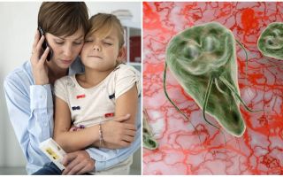 Giardiasis bērniem: simptomi un ārstēšana